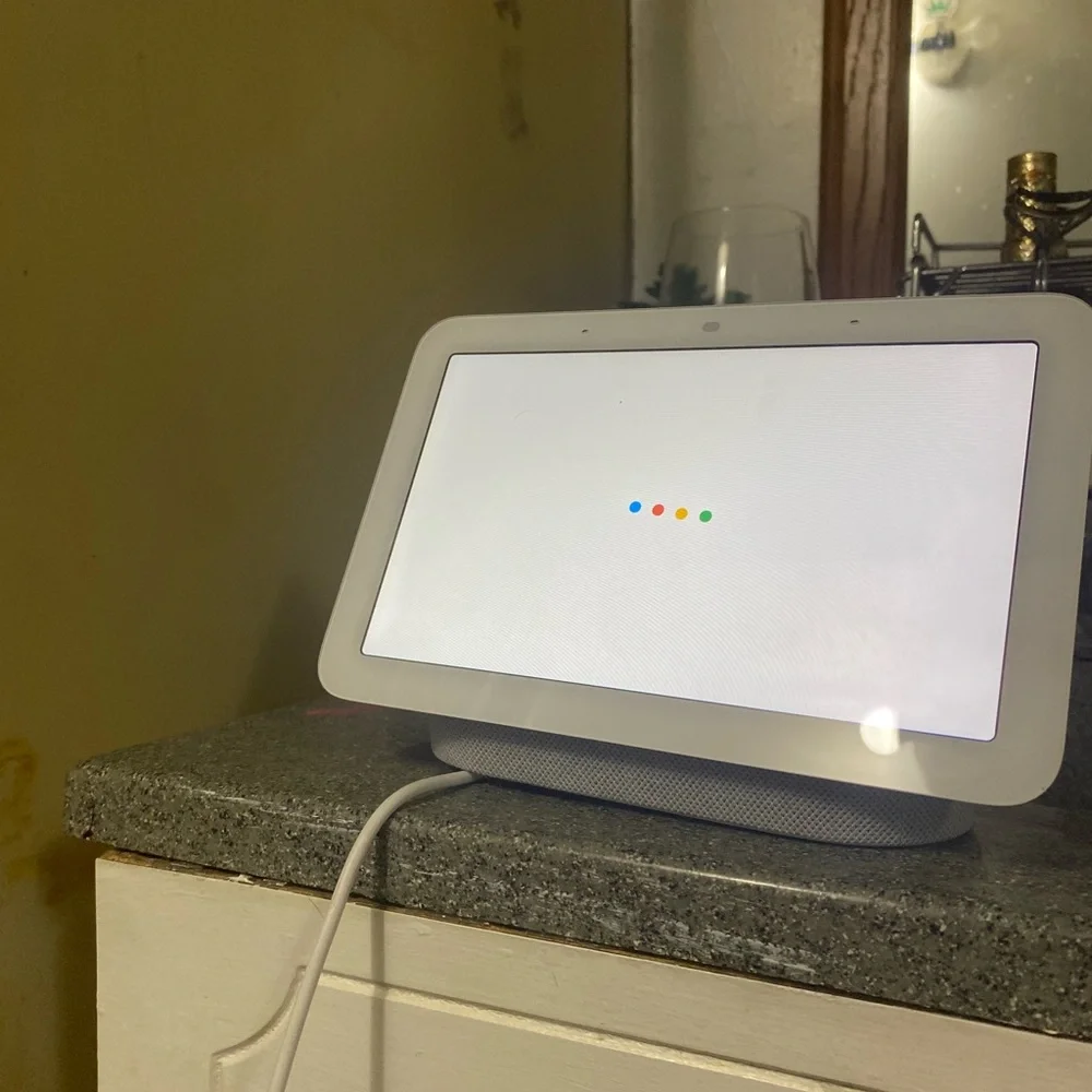Google home nest